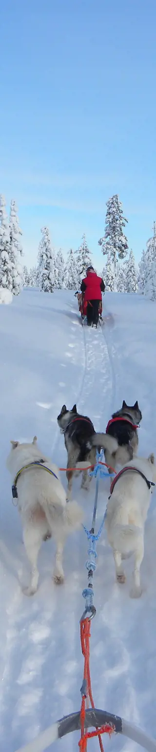 Ausfahrten in der schneebedeckten Winterlandschaft Finnlands